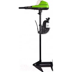 Лодочный мотор Greenworks G40TM55 / 9000207