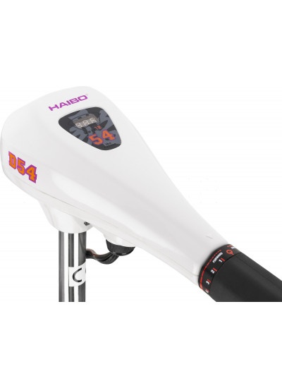 Лодочный мотор Haibo D54