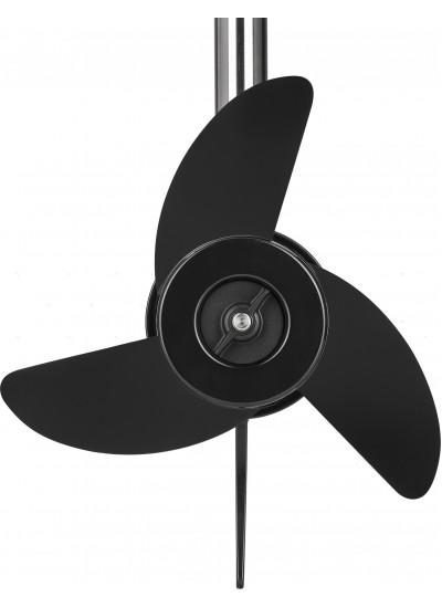 Лодочный мотор Haibo D54