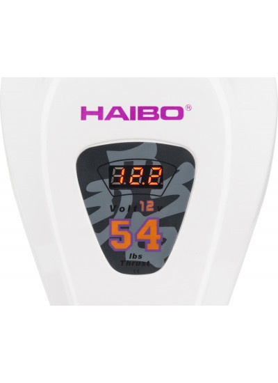 Лодочный мотор Haibo D54
