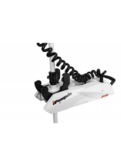 Лодочный мотор Haibo iPenguin P70 12V