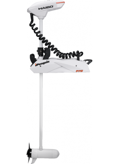Лодочный мотор Haibo iPenguin P70 12V