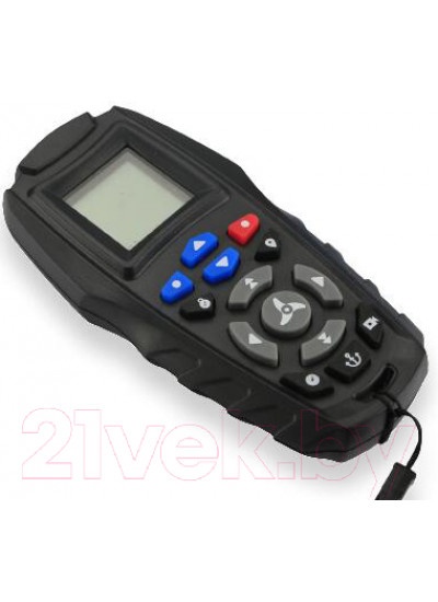 Лодочный мотор Haibo iPenguin P65 12V