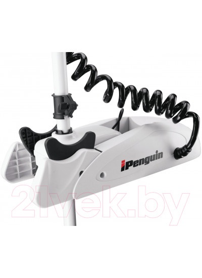 Лодочный мотор Haibo iPenguin P65 12V