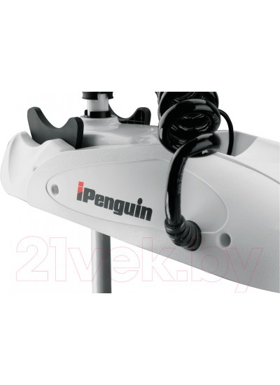 Лодочный мотор Haibo iPenguin P65 12V