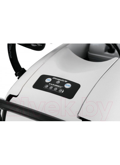 Лодочный мотор Haibo iPenguin P65 12V