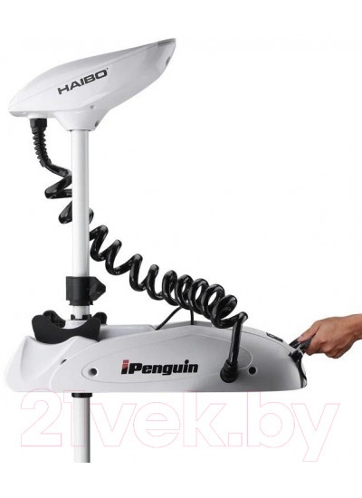Лодочный мотор Haibo iPenguin P65 12V