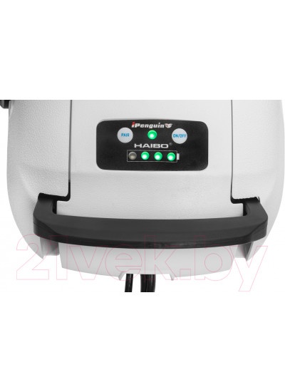 Лодочный мотор Haibo iPenguin P65 12V