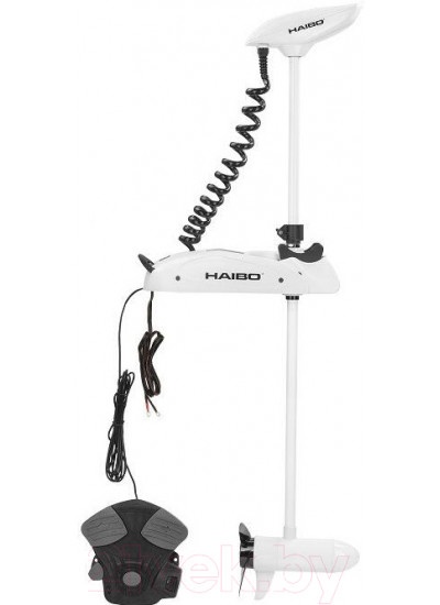 Лодочный мотор Haibo iPenguin P65 12V