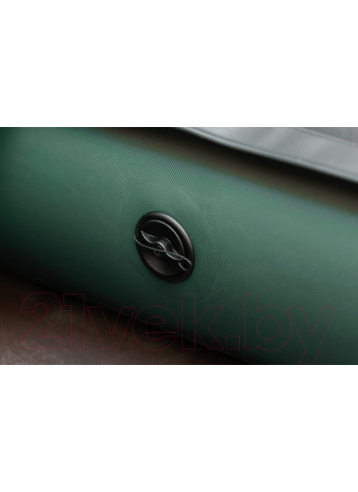 Лодка ПВХ Leader Boats Тайга-270-М / 2702021 (зеленый)