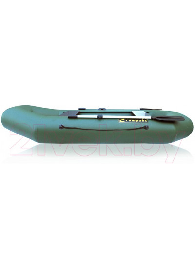 Лодка ПВХ Leader Boats Компакт-260 / 0082200 (зеленый)