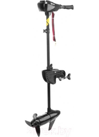 Лодочный мотор Nisus 50 LBS / N-TM-50