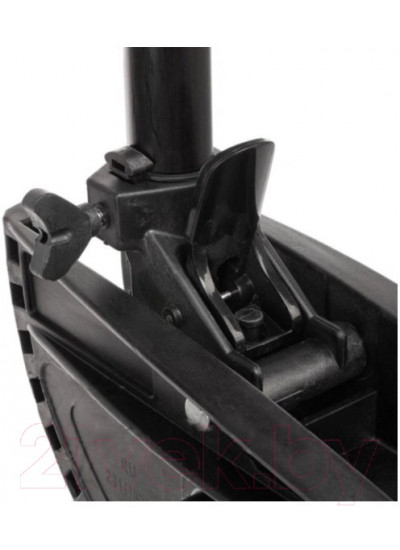 Лодочный мотор Nisus 50 LBS / N-TM-50