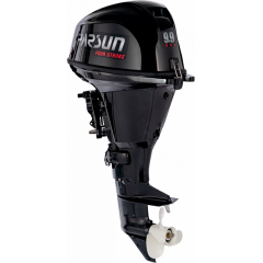 Лодочный мотор Parsun F9.9AFWS-EFI PRO