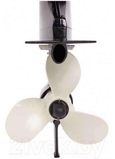 Лодочный мотор Toyama T5ABMS