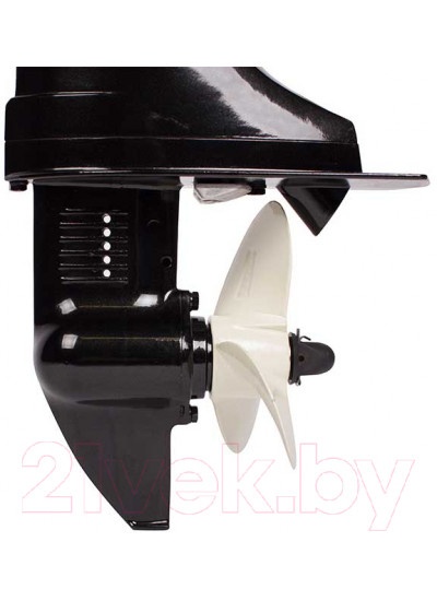 Лодочный мотор Toyama T5ABMS