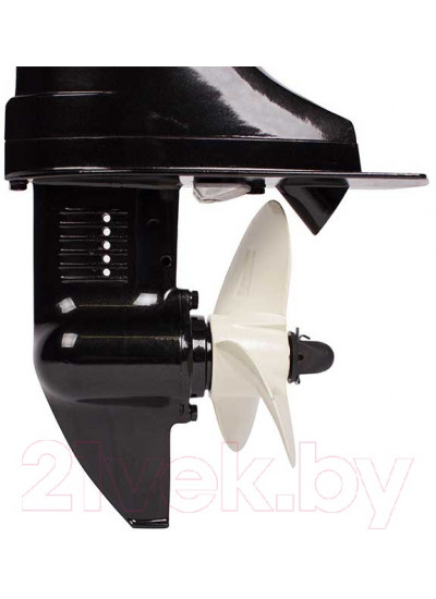 Лодочный мотор Toyama T5ABMS