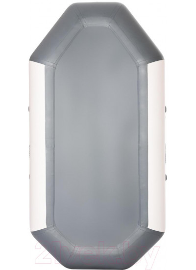 Лодка ПВХ Тонар Бриз 190 с гребками / 4897000 (белый/серый)