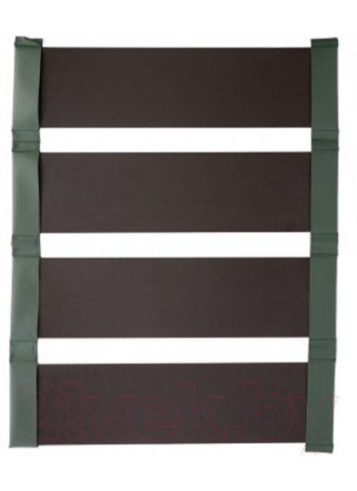 Лодка ПВХ Тонар Шкипер 280НТ (зеленый)