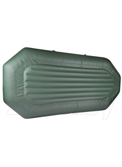 Лодка ПВХ Тонар Шкипер А260 (зеленый)