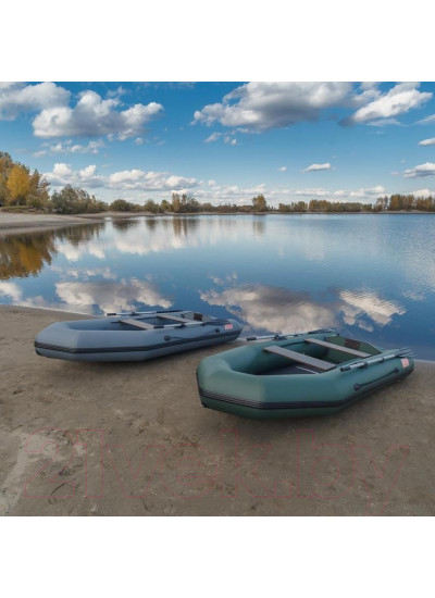 Лодка ПВХ Тонар Капитан Т290 (зеленая)