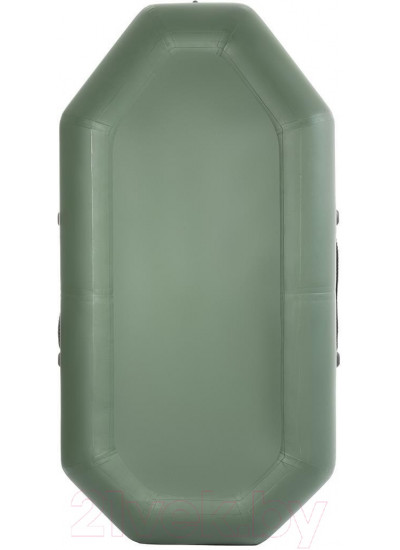 Лодка ПВХ Тонар Бриз 190 с веслами / 6852863 (зеленый)